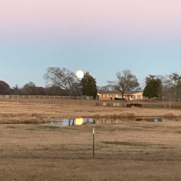 Meet your Posher, Wendy - Picture 4 of 5